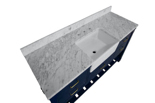 Charlotte 60-inch Single Farmhouse Bathroom Vanity Blue Marble - Countertop