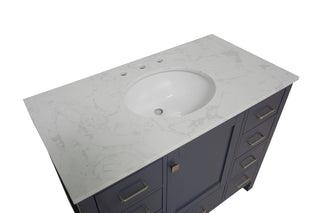 Horizon 42-inch Vanity with Engineered Carrara Top