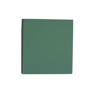Sage Green Paint Swatch